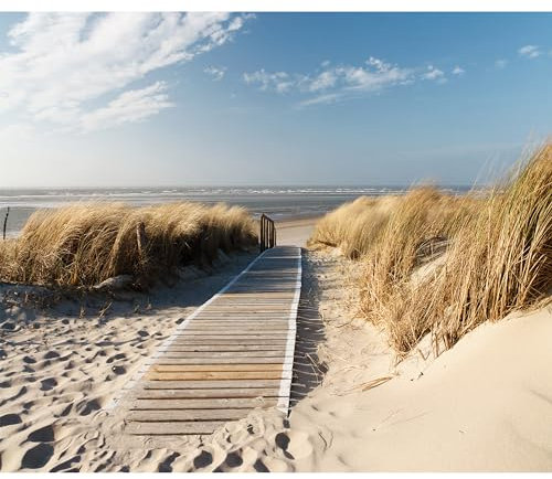 murando Fototapete Premium-Vlies Strand Meer 350x256cm Foto Tapete Schlafzimmer Wohnzimmer Vliestapete XXL Wandtapete Motivtapeten Bildtapete 3d Effekt Wand Dekoration Flur Natur Sand c-C-0176-a-a