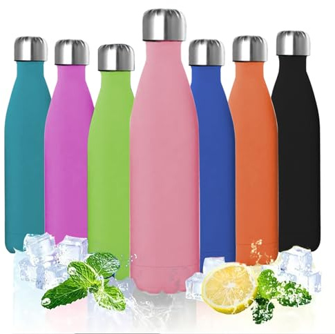 ProBytes Bouteille d'eau en acier inoxydable de 750 ml – Bouteille isotherme sous vide, double paroi, matériau sans BPA, jusqu'à 12/24 heures chaud/froid, étanche, sport, bureau, gym, voyage, unisexe