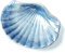 FORLONG Ceramic Ocean Seashell Soap Dish, for Bathroom,Tub and Kitchen Sink-Blue