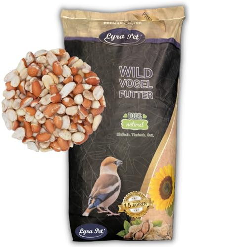 Lyra Pet® | 10 kg Erdnusskerne Splits Blanchiert & mit Haut Gemischt | Neue Ernte | Ganzjahres Vogelfutter für Wildvögel | Reich an Ballaststoffen & Vitaminen | Fetthaltige Erdnüsse mit + ohne Haut