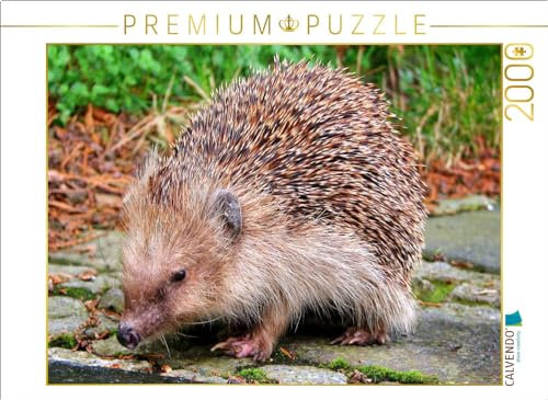 CALVENDO Puzzle Igel 2000 Teile Puzzle quer | 2000 Teile Lege-Größe 90 x 67 cm Foto-Puzzle für glückliche Stunden