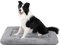CHAMPETS Hundekäfig-Pad für mittelgroße Hunde, waschbar, weich, flauschig, Hundehütte, Matte, 88,9 cm, rutschfeste Unterseite, für große Hunde, Grau