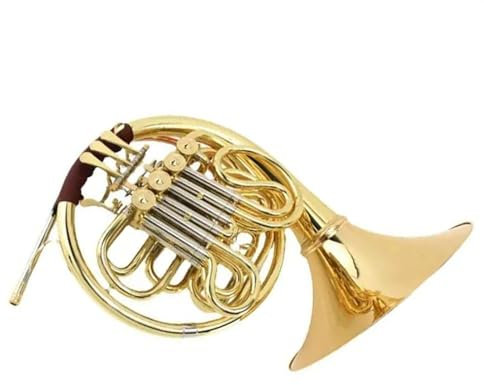 Professionelles zweireihiges Waldhorn in B/F mit einer französischen Splithorn-Orchestertrompete Waldhorn-Set