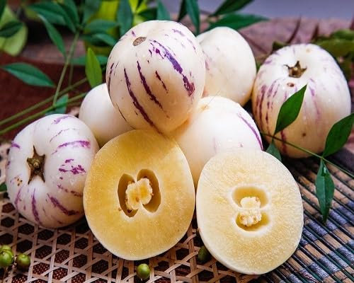 70 semillas de fruta de ginseng