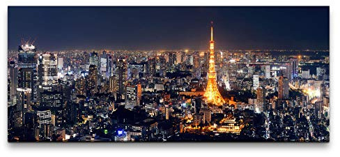 Paul Sinus Tokyo Skyline 100x40cm Wandbild auf Leinwand