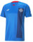 PUMA Island Heimtrikot 2022/23-L Blau