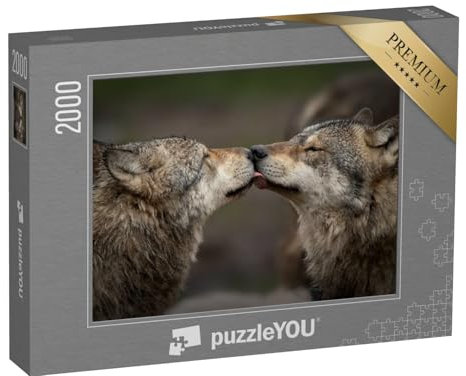 puzzleYOU: Vertrauen unter Wölfen – 2000-Teile Puzzle, Klassisch, Karton, Jigsaw, Puzzle, 1 Set, 1 Stück, 2000 Teile, 1 Paket, 2000 Inhalte, 14 Jahre und älter