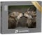 puzzleYOU: Vertrauen unter Wölfen – 2000-Teile Puzzle, Klassisch, Karton, Jigsaw, Puzzle, 1 Set, 1 Stück, 2000 Teile, 1 Paket, 2000 Inhalte, 14 Jahre und älter