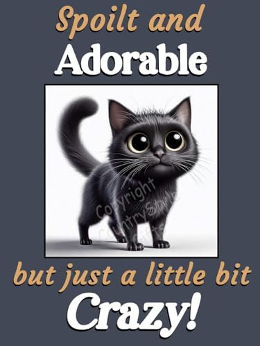 Generic Black Cat funny flexible fridge magnet gift