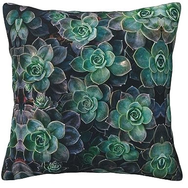 LGHDFYO Inserti per cuscini quadrati con piante grasse verdi, cuscini da divano letto per relax, decorazione per la casa e il soggiorno