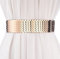 SAIBANGZI Modischer Taillengürtel für Damen, breiter Gürtel, Persönlichkeit, metallisch, Kleid, Gürtel, elastischer Gürtel für Mädchen., goldfarben, 70