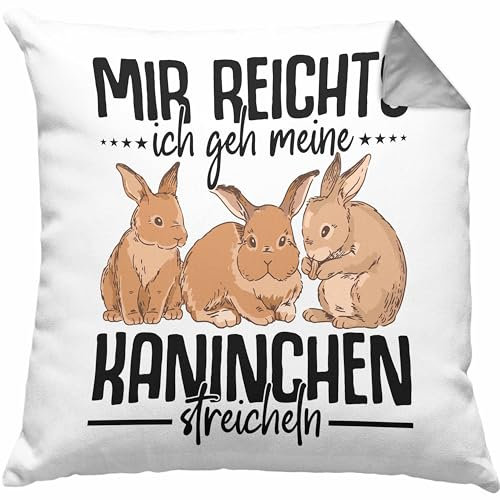 Trendation Kaninchen Kissen mit Füllung 40x40 Hasen Süßer Hase Haustier Ostern Geschenk Haustier (Grau)