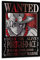 Anime One Piece Wanted Poster Ace Leinwand Gemälde Poster Wandkunst Dekorative Bild Drucke Moderne Dekor 40 x 60 cm