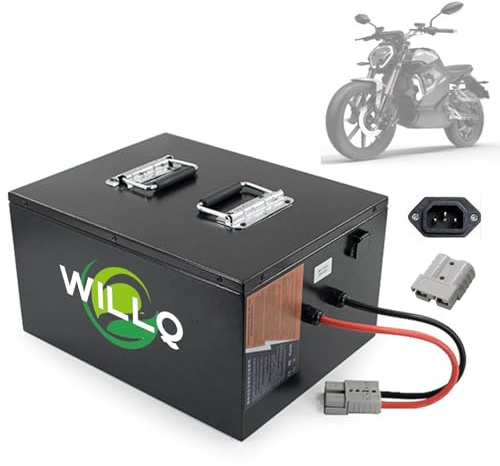 WILLQ 60 Volts Electric Tricycle Golf Cart Motorcycle Replacement Lithium Battery 60V 100Ah 80Ah 60Ah Lithium Iron Phosphate Battery Pack with BMS for 0-6000W Motor,60V80AH