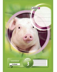 5 x Landre Arbeitsblock A4 50 Blatt 4fach gelocht Lineatur 3 3.Schuljahr