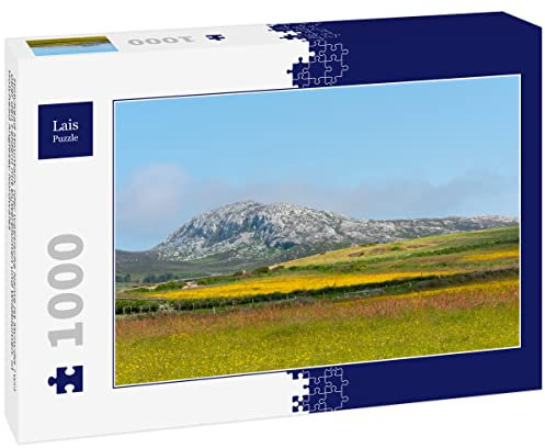 Lais Puzzle Holyhead Mountain, (the Welsh name is Mynydd Twr) above the fields of buttercups and wildflowers. In Holyhead Anglesey North Wales 1000 pieces