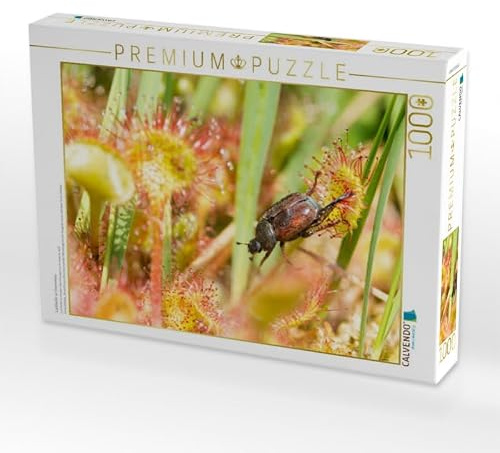 CALVENDO Puzzle Laubkäfer an Sonnentau | 1000 Teile Lege-Größe 64 x 48 cm Foto-Puzzle für glückliche Stunden