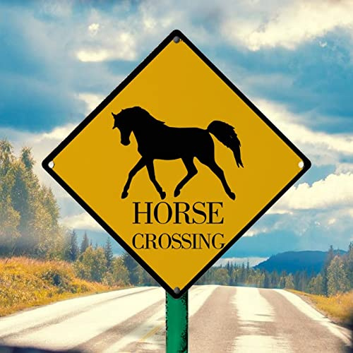 Caution Horse Xing Home Dekorative Schilder Pferd Kreuzung Wandkunst Metallschild Pferd Tierliebhaber Lustiges Metallschild Vorsicht Verkehrsschild 25,4 x 25,4 cm Tierliebhaber Geschenk Schild für