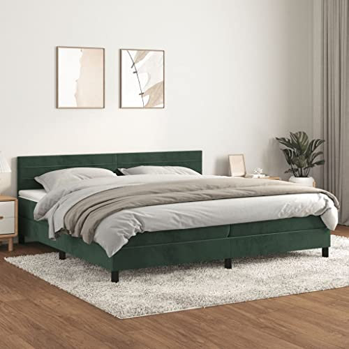 INLIFE Boxspringbett mit Matratze Dunkelgrün 200x200 cm Samt,Grün,80.88KG,3141386