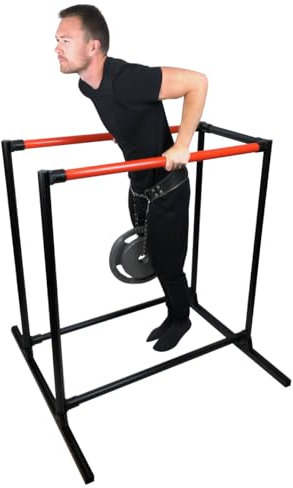 DIP BARREN - Profigeräte - Dip Station mit 43 mm Durchmesser - Max. Belastung 500 KG - Parallettes Calisthenics Training Equipment - stufenlos verstellbar -Kraftstation - Fitnessgerät für Zuhause