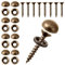 Dekorative Messingschrauben mit Kappen, Abdeckkappen Für Messingschrauben Dekorative Kappen Spiegelschrauben Mirror Screws Fensterschrauben Für Verschiedene Holzmöbelschränke (15 Mm, 8 Stück)