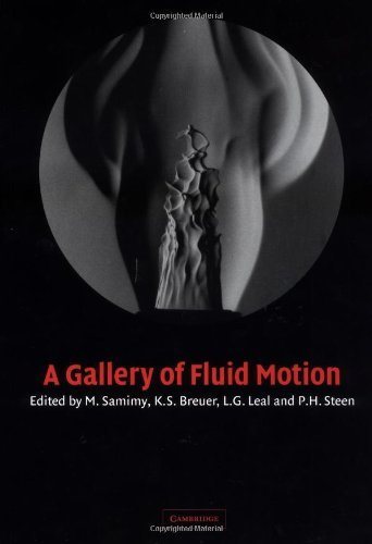 A Gallery of Fluid Motion (English Edition)