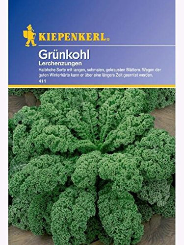 Kiepenkerl 411 Grünkohl Lerchenzungen (Grünkohlsamen)