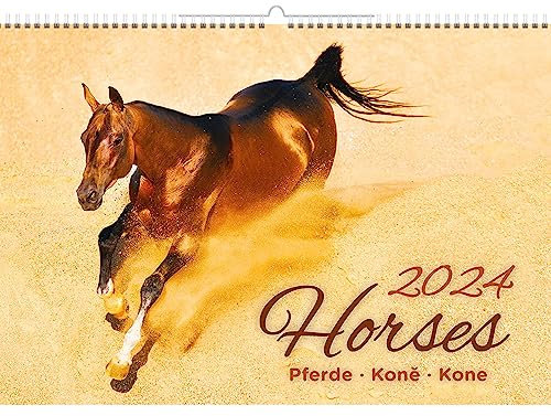 Kalpa Pferdekalender 2025, Fesselnde Bilder im Poster-Kalender für Pferdeliebhaber im 12-Monats-Wandkalender (31,5 x 45 cm) - Tierkalender im Querformat