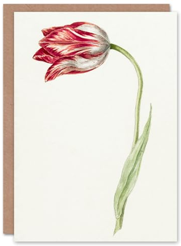 Artery8 Jean Bernard Art Card Pink Tulip Flower Drawing