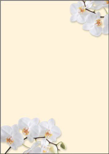 SIGEL DP904 Motiv-Papier White Orchid, Briefpapier 90 g, DIN A4, 50 Blatt, aus nachhaltigem Papier