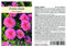 Seedeo® Zinnie „Rose“ (Zinnia elegans) 50 Samen