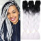 24 Braids Extensions Jumbo Braids Kunsthaar 3 Bündel Synthetik Crochet Hair Flechthaar Afro Box Braiding (Schwarzes & Weiß)