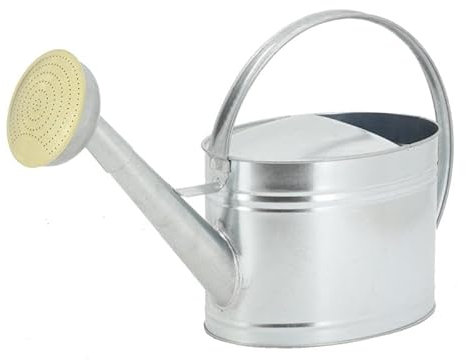 Arrosoir en métal galvanisé 10 L