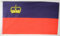 Buddel-Bini Flagge Fahne ca. 90x150 cm : Liechtenstein Liechtensteinflagge Nationalflagge Nationalfahne