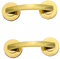 2 Stk Seniorenhilfe sauggriff armlehne Badewannensicherheitsgriff Handicap Haltegriffe Duschstangen Sicherheitshandstütze rutschfester Badewannengriff Plastik Golden HAPINARY