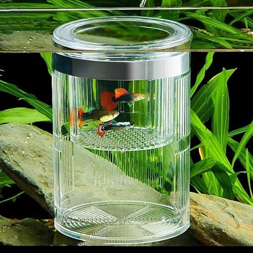 FGXY Zylindrisch Aufzuchtbecken Aquarium, Zucht Isolation Box, Züchter Divider Brutkasten, Multifunktional, Für Guppy Garnelen Mollys, Isolationskiste Jungfiisch