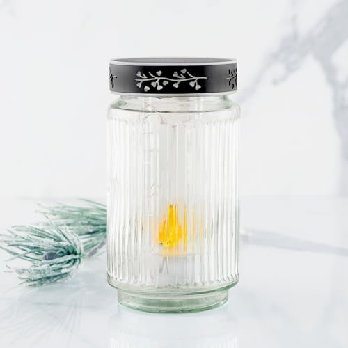 HOFER KERZEN LED Solar Grablicht aus Glas [TRANSPARENT] 3 Jahre Leuchtdauer | wetterfest, wasserdicht | Solar Grabkerze für draußen | LED Friedhofskerze, Grablaterne mit Batterie | Grabschmuck