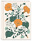 Punch Studio Nightshade 52849 Hardcover-Planer mit Blumenmuster, undatiert
