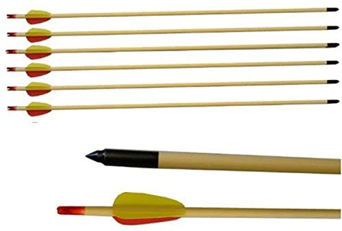 Kaminbau Mierzwa Holz Pfeile 28 Zoll für Compound/Recurve Bogen Bogensport Mengewahl 6/12/18 Stück (6 Stück)