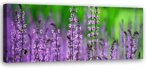 Feeby Wandbild Natur Druckbild Leinwandbild Blumen Violett 120x40 cm