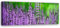 Feeby Wandbild Natur Druckbild Leinwandbild Blumen Violett 120x40 cm