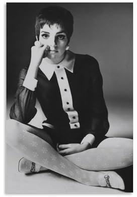 Poster der amerikanischen Sängerinnen des 20. Jahrhunderts, Liza Minnelli, Poster, Wandkunst, dekoratives Bild, Drucke, moderne Dekoration, 40 x 60 cm