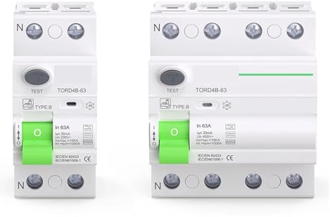 Interruptor Diferencial RCD RCCB Tipo B, Interruptor Diferencial De Corriente Residual, EVSE 2P 4P CA 40 A 63 A 30 MA 100 MA 300 MA 10 KA, Carril DIN 230 V(25A,2 Pole 100mA)
