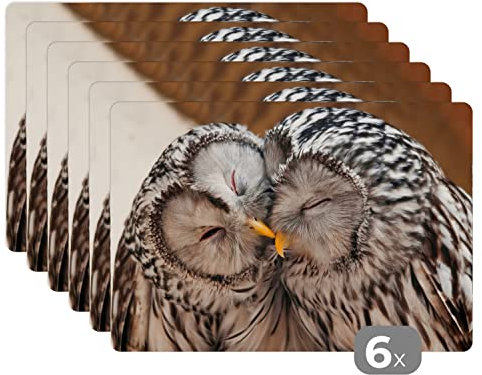 Placemats Platzdeckchen Platzset Tischset 6-teilig Tischdeko Untersetzer 45x30 cm Eulen - Vögel - Schnabel - Familie