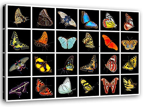 Leinwandbild XXL Schmetterlinge Wandbild Kunst mehrfarbig 120x80 cm