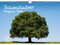 Baumzauber DIN A3 - Immerwährender Kalender Baum, Bäume und Wald - Seelenzauber