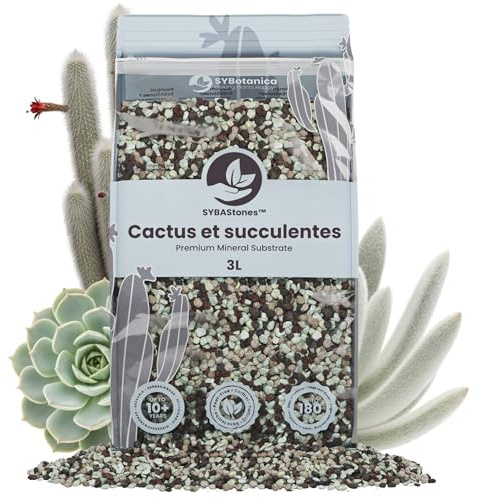 Sybotanica Cactus et succulentes minéral Mix 3 L