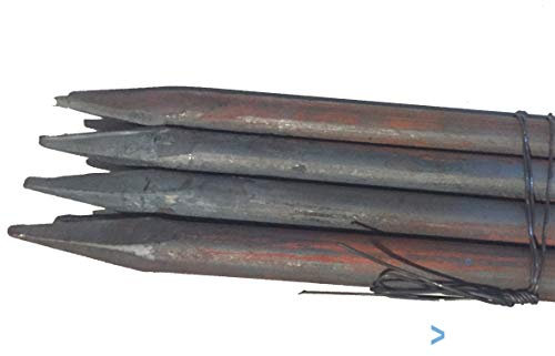 Schnureisen, Schnurpfähle, Schnurpinne gespitzt 1000x18 mm Stahl geschmiedet a 10 Stück Paket