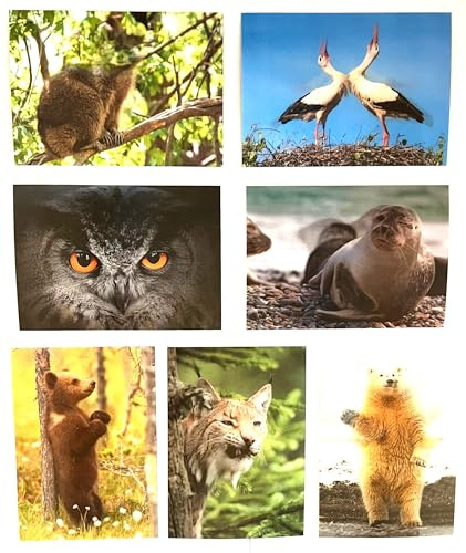 EDITION COLIBRI 7 Lentikular Karten: Tiere Europas, heimische Tiere, als Geschenk, Postkarten, Wackelkarten, Mitgebsel für Kindergeburtstag, Tierkarten, Geschenke für Mädchen