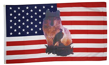 Flaggenfritze Fahne/Flagge USA Wolf mit Adler + gratis Sticker